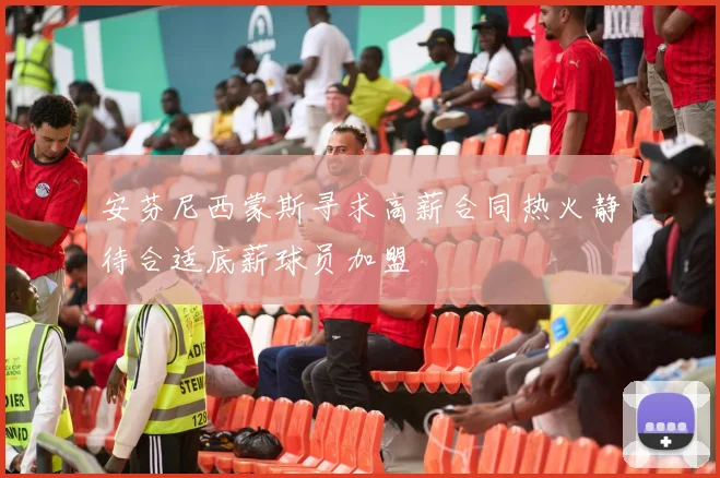 安芬尼西蒙斯寻求高薪合同热火静待合适底薪球员加盟